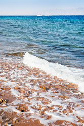 Similar image 1240493