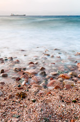 Similar image 1240505