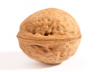 Similar image 1241362