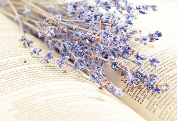 Similar image 1241380