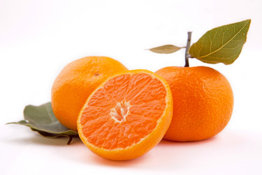 Similar image 1241408