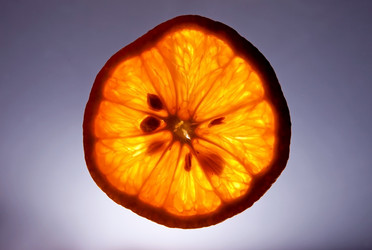 Similar image 1241413