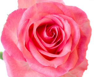 Similar image 1241447