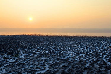 Similar image 1241466