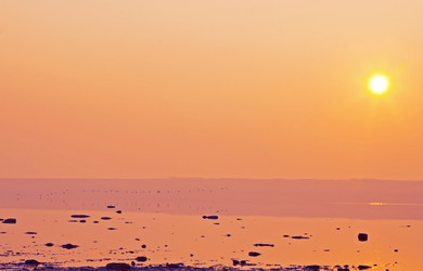 Similar image 1241469