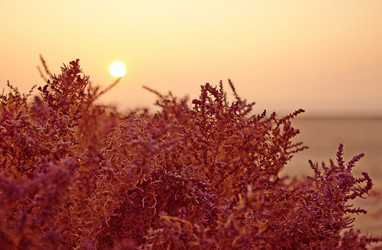 Similar image 1241474