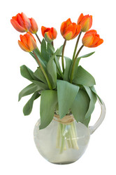 Similar image 1241486