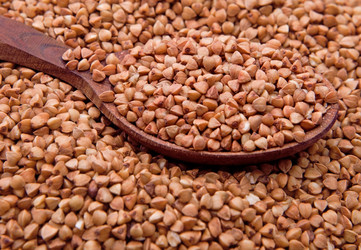 Similar image 1241493