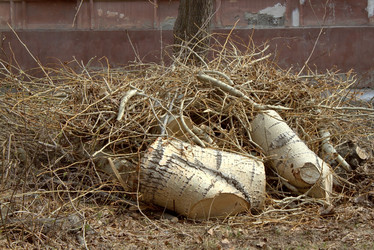 Similar image 1241710