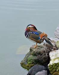 Similar image 1241712