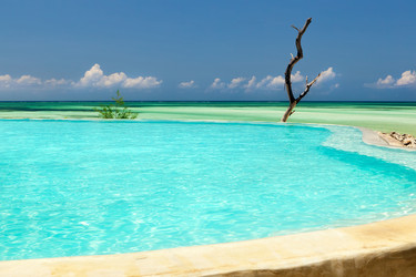 Similar image 1241774