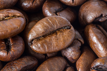 Similar image 1241871