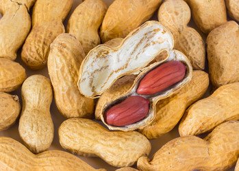 Similar image 1241881