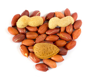 Similar image 1241921