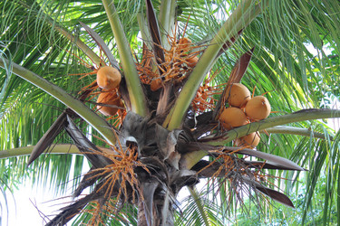 Similar image 1241948