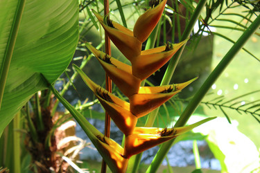 Similar image 1241950