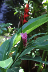 Similar image 1241952