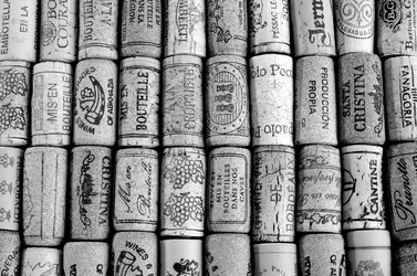 Similar image 1241954