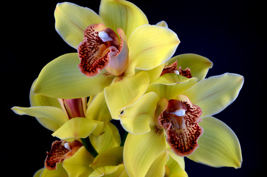 Similar image 1241958