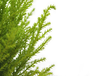 Similar image 1241971