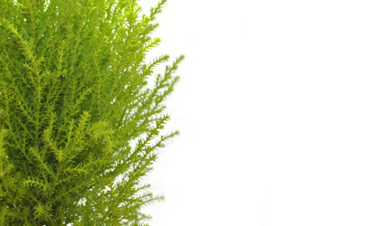 Similar image 1241972