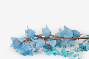 Similar image 1241981