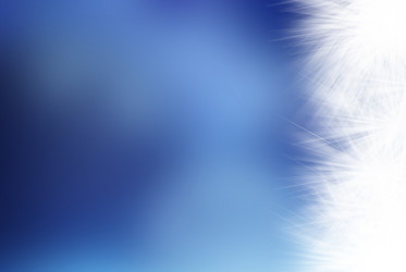 Similar image 1241984