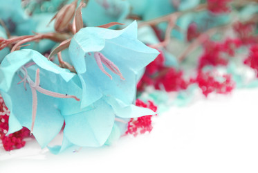 Similar image 1241988