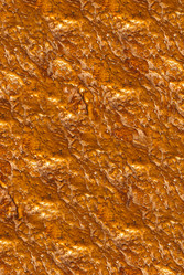 Similar image 1241999