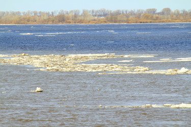 Similar image 1242089