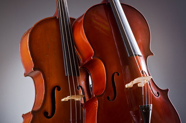 Similar image 1242105