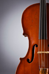 Similar image 1242106