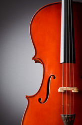 Similar image 1242141