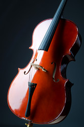 Similar image 1242285