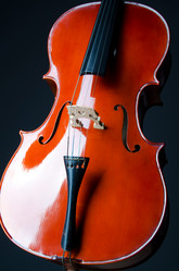 Similar image 1242344