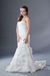 Similar image 1242359