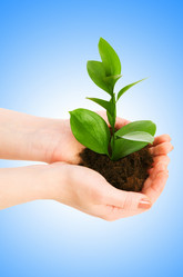 Similar image 1242490