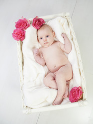 Similar image 1242556