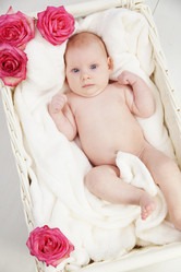 Similar image 1242557