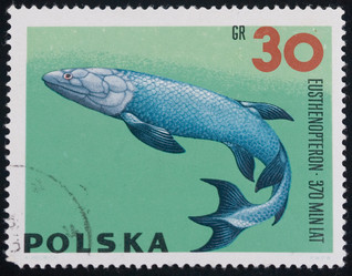 Similar image 1242640