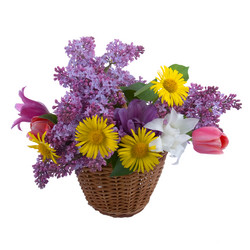 Similar image 1242658