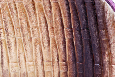 Similar image 1242663