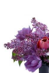 Similar image 1242686