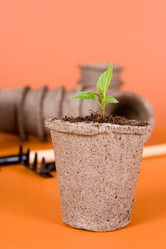 Similar image 1242690