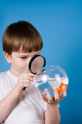 Similar image 1242701