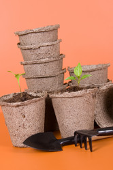 Similar image 1242706