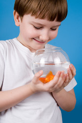 Similar image 1242717