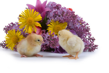 Similar image 1242765