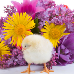 Similar image 1242778