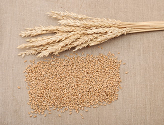 Similar image 1242898